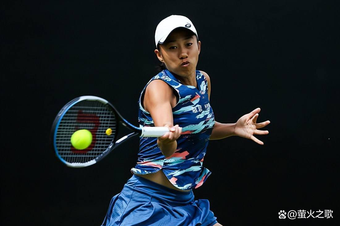 稳固的屏障 稳固的屏障